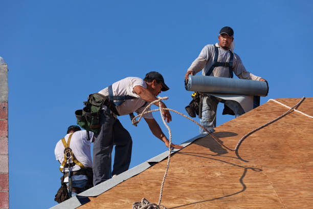 Best Roof Gutter Cleaning  in Auburn, GA